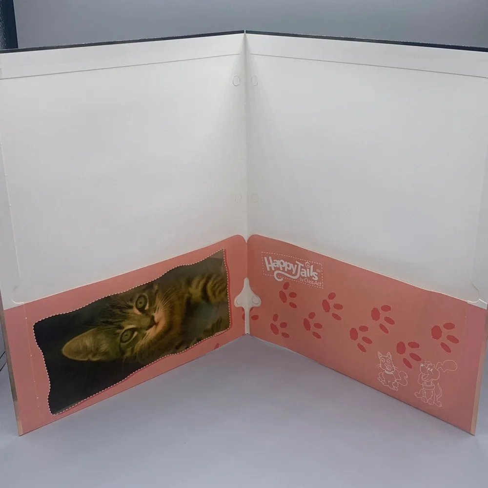 Vintage Happy Tails by Class Act 2005 3 Ring Binder Folder Cat in Pot